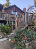 Enlarge photo 54