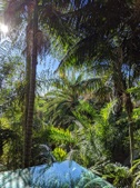 Enlarge photo 34