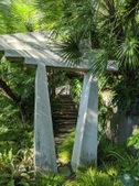 Enlarge photo 36