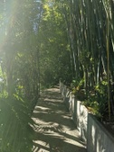 Enlarge photo 42