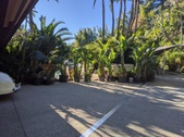 Enlarge photo 58