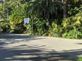 Enlarge photo 59