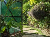 Enlarge photo 60