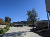Enlarge photo 54