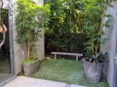 Enlarge photo 52