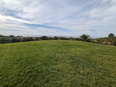 Malibu Modern Garden