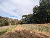 Enlarge photo 17