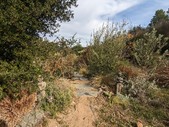 Enlarge photo 40