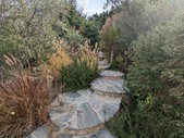 Enlarge photo 41