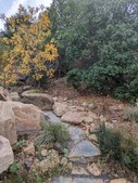 Enlarge photo 43