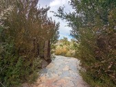 Enlarge photo 44