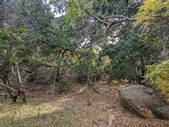 Enlarge photo 46