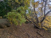 Enlarge photo 47