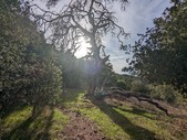 Enlarge photo 49