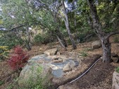 Enlarge photo 52