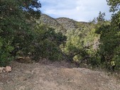 Enlarge photo 56