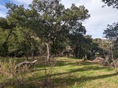 Enlarge photo 26