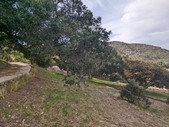 Enlarge photo 62