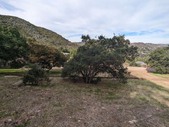 Enlarge photo 63