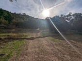 Enlarge photo 67