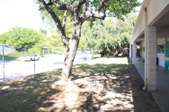 Enlarge photo 54