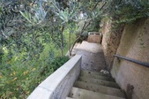 Enlarge photo 66