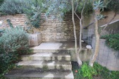Enlarge photo 67