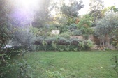 Enlarge photo 88