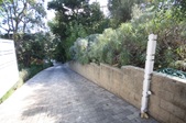 Enlarge photo 92