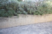 Enlarge photo 95