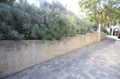 Enlarge photo 96