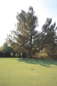 Enlarge photo 47