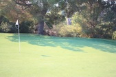 Enlarge photo 48