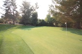 Enlarge photo 49