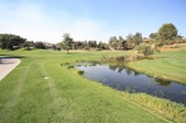 Enlarge photo 54