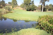 Enlarge photo 56