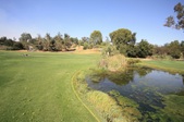 Enlarge photo 59