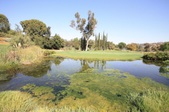 Enlarge photo 60