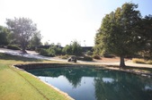 Enlarge photo 73