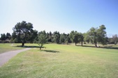 Enlarge photo 57