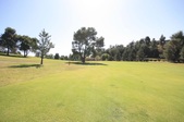 Enlarge photo 58