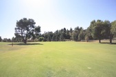 Enlarge photo 59