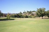 Enlarge photo 62