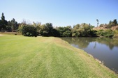 Enlarge photo 71
