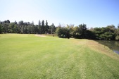 Enlarge photo 72