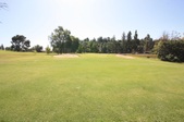 Enlarge photo 73