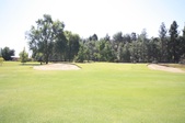 Enlarge photo 74