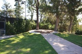 Enlarge photo 137