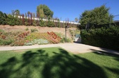 Enlarge photo 142