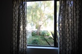 Enlarge photo 67